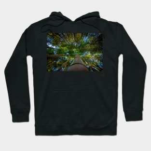 Look Up Hoodie